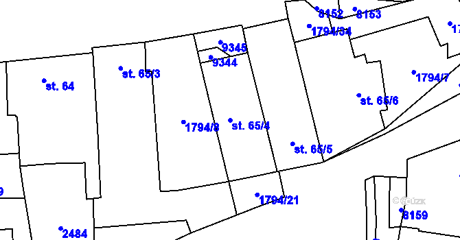 Parcela st. 65/4 v KÚ Božice, Katastrální mapa