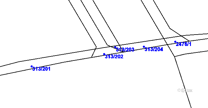 Parcela st. 313/202 v KÚ Branišovice, Katastrální mapa