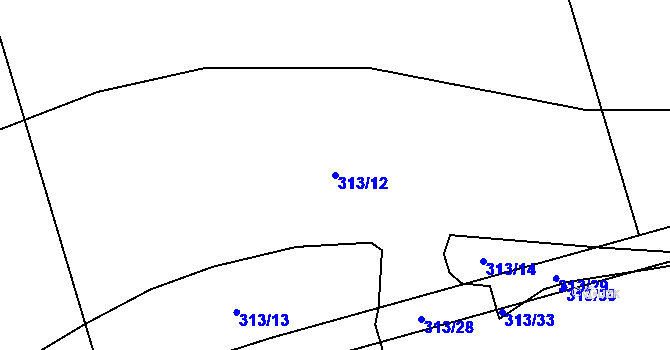 Parcela st. 313/12 v KÚ Branišovice, Katastrální mapa