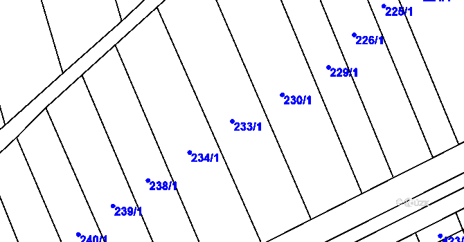 Parcela st. 233/1 v KÚ Brankovice, Katastrální mapa