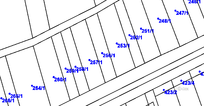 Parcela st. 256/1 v KÚ Brankovice, Katastrální mapa