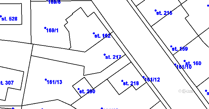 Parcela st. 217 v KÚ Braškov, Katastrální mapa