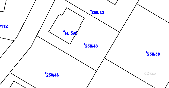 Parcela st. 258/43 v KÚ Braškov, Katastrální mapa
