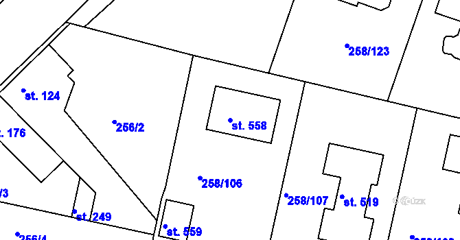 Parcela st. 558 v KÚ Braškov, Katastrální mapa