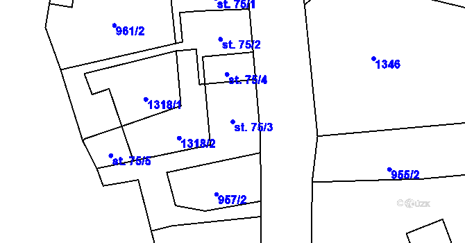 Parcela st. 75/3 v KÚ Bravinné, Katastrální mapa