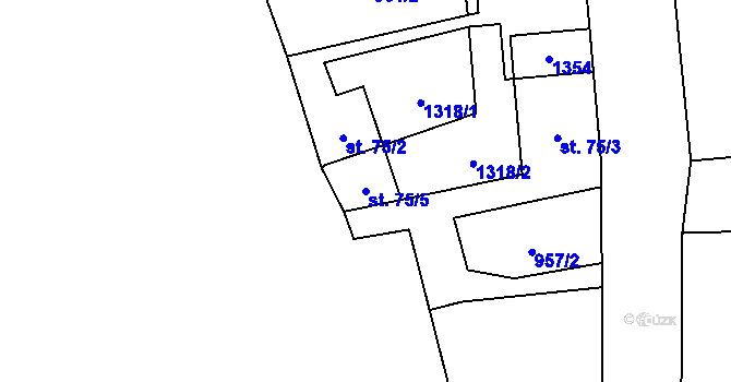 Parcela st. 75/5 v KÚ Bravinné, Katastrální mapa