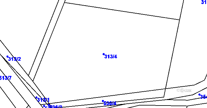 Parcela st. 313/4 v KÚ Brloh u Přelouče, Katastrální mapa