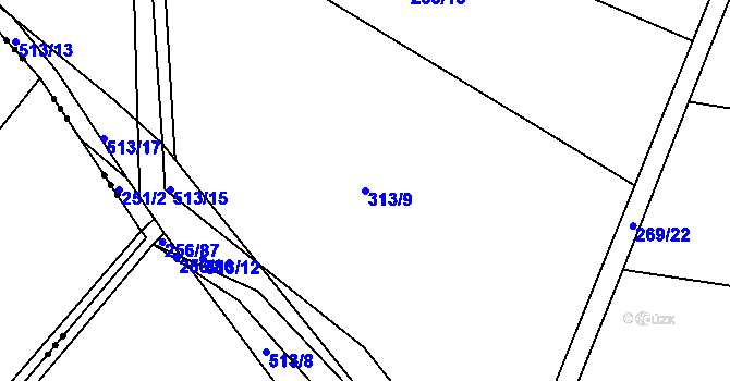 Parcela st. 313/9 v KÚ Brloh u Přelouče, Katastrální mapa
