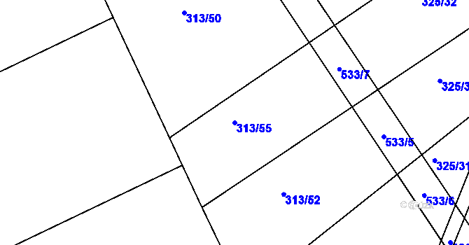 Parcela st. 313/55 v KÚ Brloh u Přelouče, Katastrální mapa