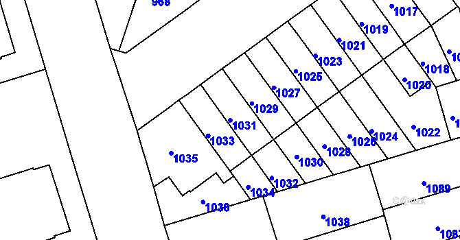 Parcela st. 1031 v KÚ Černá Pole, Katastrální mapa