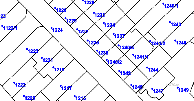 Parcela st. 1238 v KÚ Černá Pole, Katastrální mapa