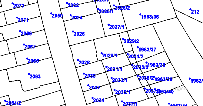 Parcela st. 2029/1 v KÚ Černá Pole, Katastrální mapa