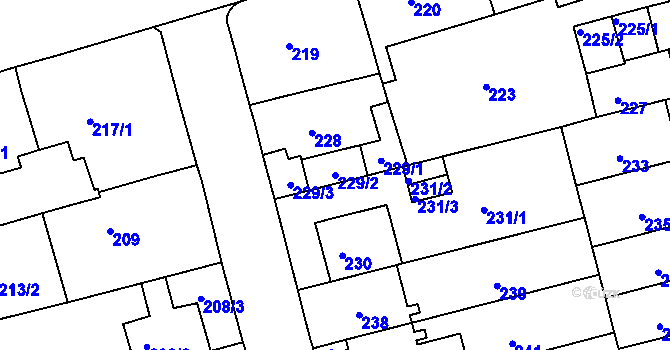 Parcela st. 229/2 v KÚ Černá Pole, Katastrální mapa