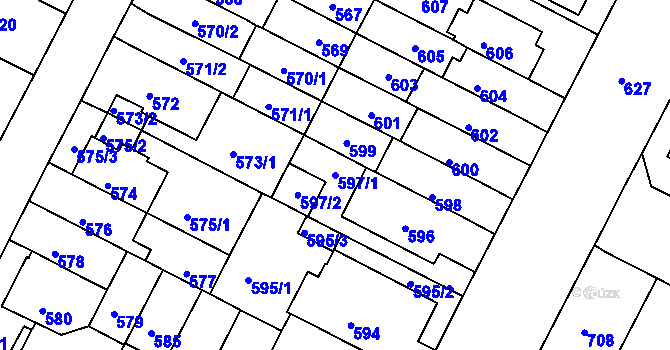 Parcela st. 597/1 v KÚ Černá Pole, Katastrální mapa