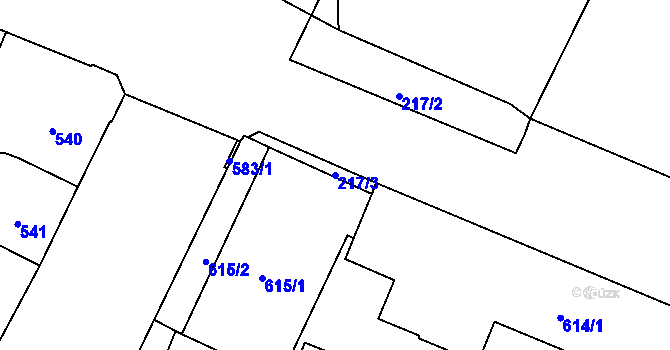Parcela st. 217/3 v KÚ Husovice, Katastrální mapa