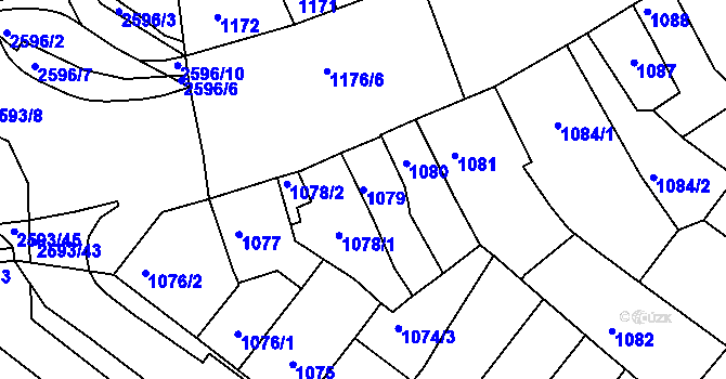 Parcela st. 1079 v KÚ Husovice, Katastrální mapa