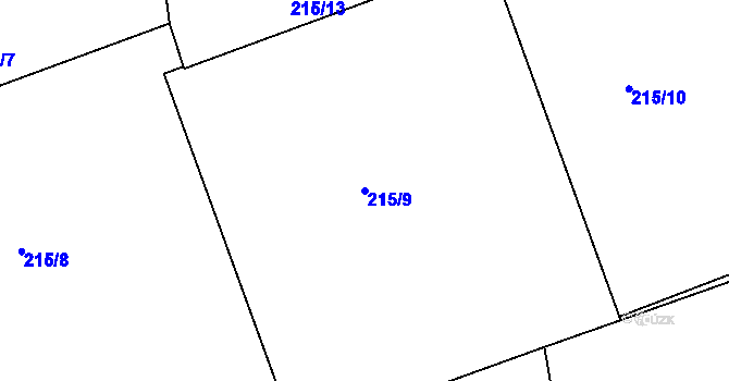 Parcela st. 215/9 v KÚ Trnitá, Katastrální mapa
