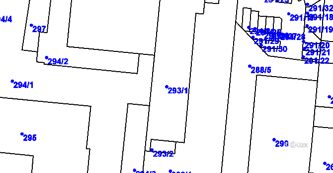 Parcela st. 293/1 v KÚ Trnitá, Katastrální mapa