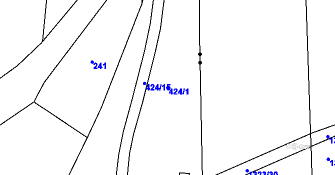 Parcela st. 424/1 v KÚ Trnitá, Katastrální mapa
