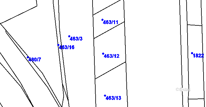 Parcela st. 463/12 v KÚ Trnitá, Katastrální mapa
