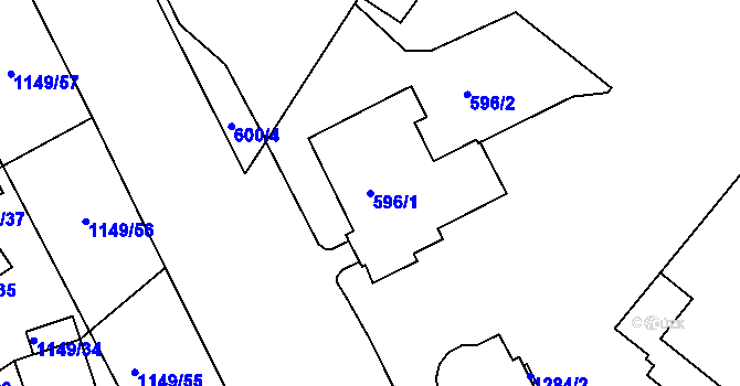 Parcela st. 596/1 v KÚ Trnitá, Katastrální mapa