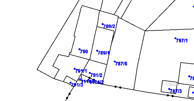 Parcela st. 789/1 v KÚ Trnitá, Katastrální mapa