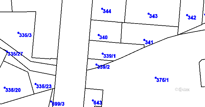 Parcela st. 339/1 v KÚ Trnitá, Katastrální mapa