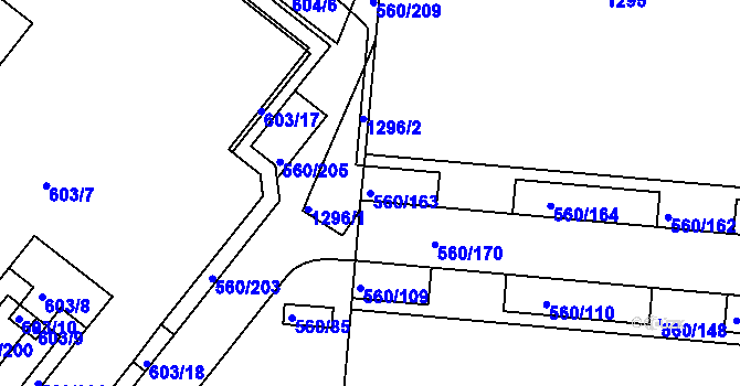 Parcela st. 560/163 v KÚ Trnitá, Katastrální mapa