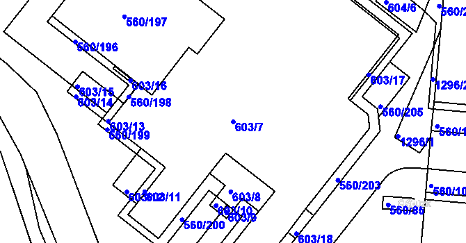 Parcela st. 603/7 v KÚ Trnitá, Katastrální mapa