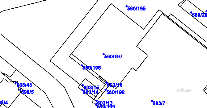 Parcela st. 560/197 v KÚ Trnitá, Katastrální mapa