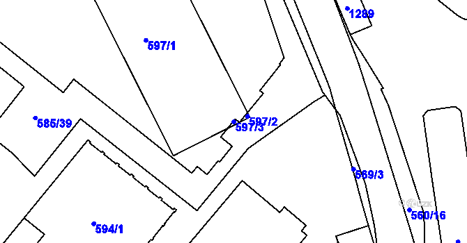 Parcela st. 597/3 v KÚ Trnitá, Katastrální mapa