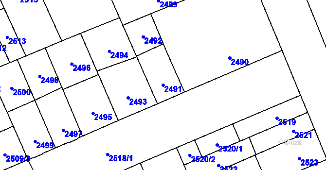 Parcela st. 2491 v KÚ Židenice, Katastrální mapa