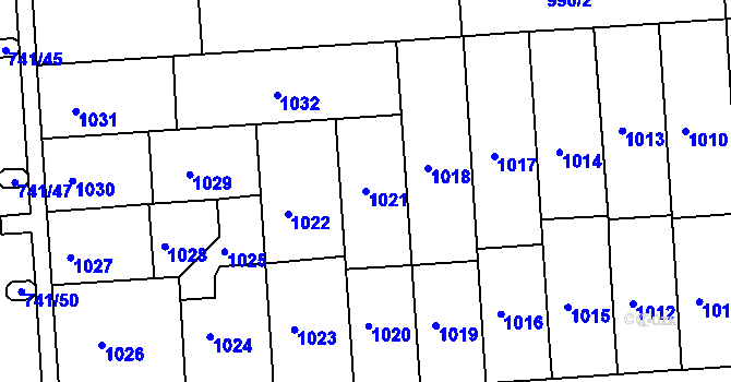 Parcela st. 1021 v KÚ Černovice, Katastrální mapa