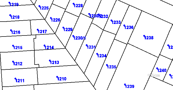 Parcela st. 1231 v KÚ Černovice, Katastrální mapa