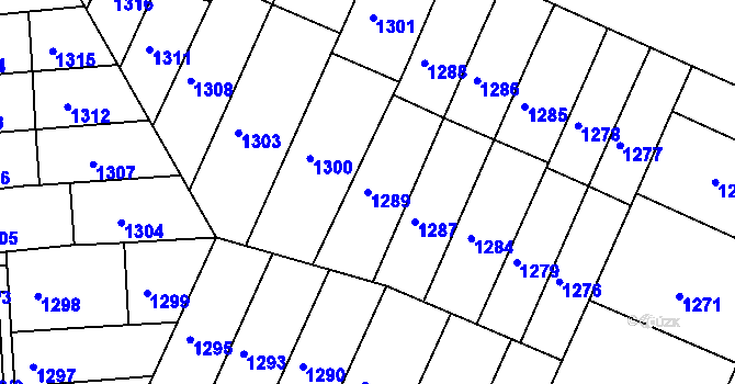 Parcela st. 1289 v KÚ Černovice, Katastrální mapa