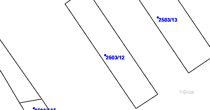 Parcela st. 2503/12 v KÚ Černovice, Katastrální mapa