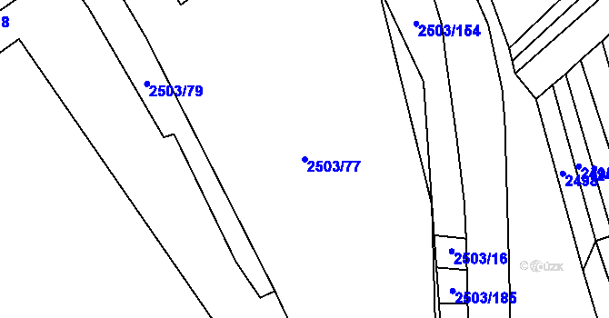 Parcela st. 2503/77 v KÚ Černovice, Katastrální mapa