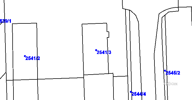 Parcela st. 2541/3 v KÚ Černovice, Katastrální mapa