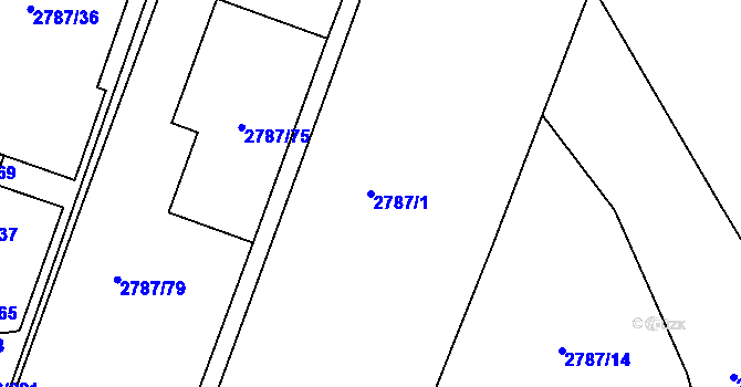 Parcela st. 2787/1 v KÚ Černovice, Katastrální mapa