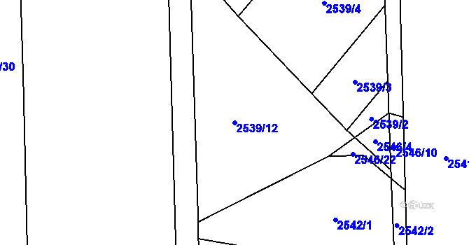 Parcela st. 2539/12 v KÚ Černovice, Katastrální mapa