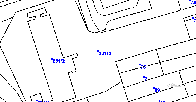 Parcela st. 231/3 v KÚ Řečkovice, Katastrální mapa