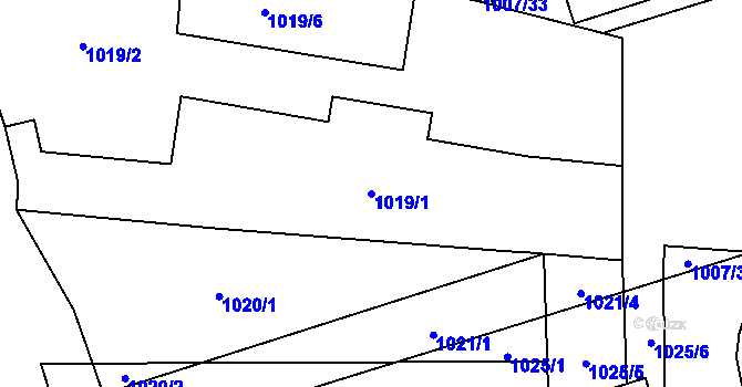 Parcela st. 1019/1 v KÚ Řečkovice, Katastrální mapa