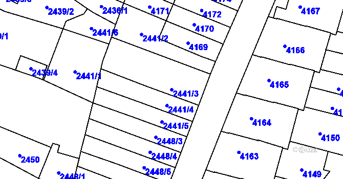 Parcela st. 2441/3 v KÚ Řečkovice, Katastrální mapa