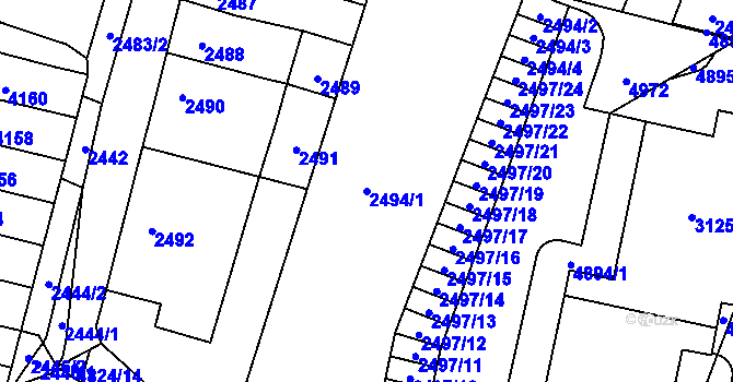 Parcela st. 2494/1 v KÚ Řečkovice, Katastrální mapa