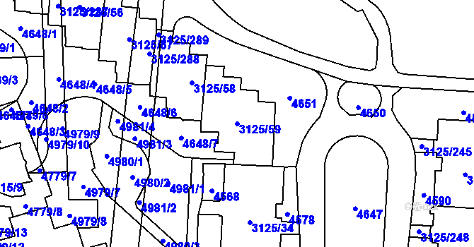 Parcela st. 3125/59 v KÚ Řečkovice, Katastrální mapa