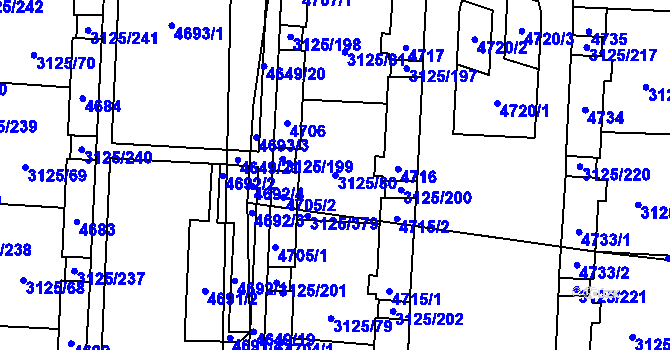 Parcela st. 3125/80 v KÚ Řečkovice, Katastrální mapa