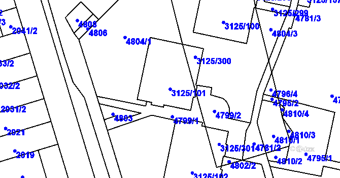 Parcela st. 3125/101 v KÚ Řečkovice, Katastrální mapa