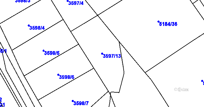Parcela st. 3597/13 v KÚ Řečkovice, Katastrální mapa