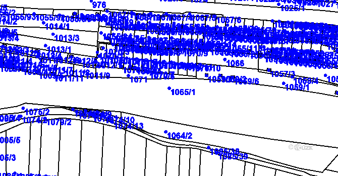 Parcela st. 1065/1 v KÚ Bohunice, Katastrální mapa