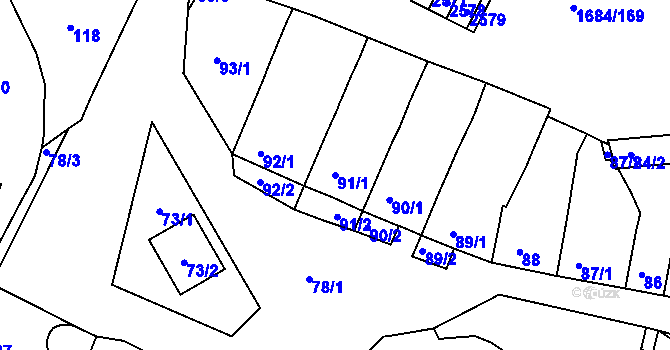 Parcela st. 91/1 v KÚ Starý Lískovec, Katastrální mapa